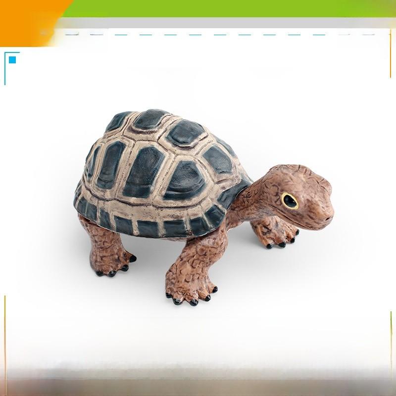 

Realistic Wildlife Pvc Turtle Figurine For Children Classroom Decor And Learning