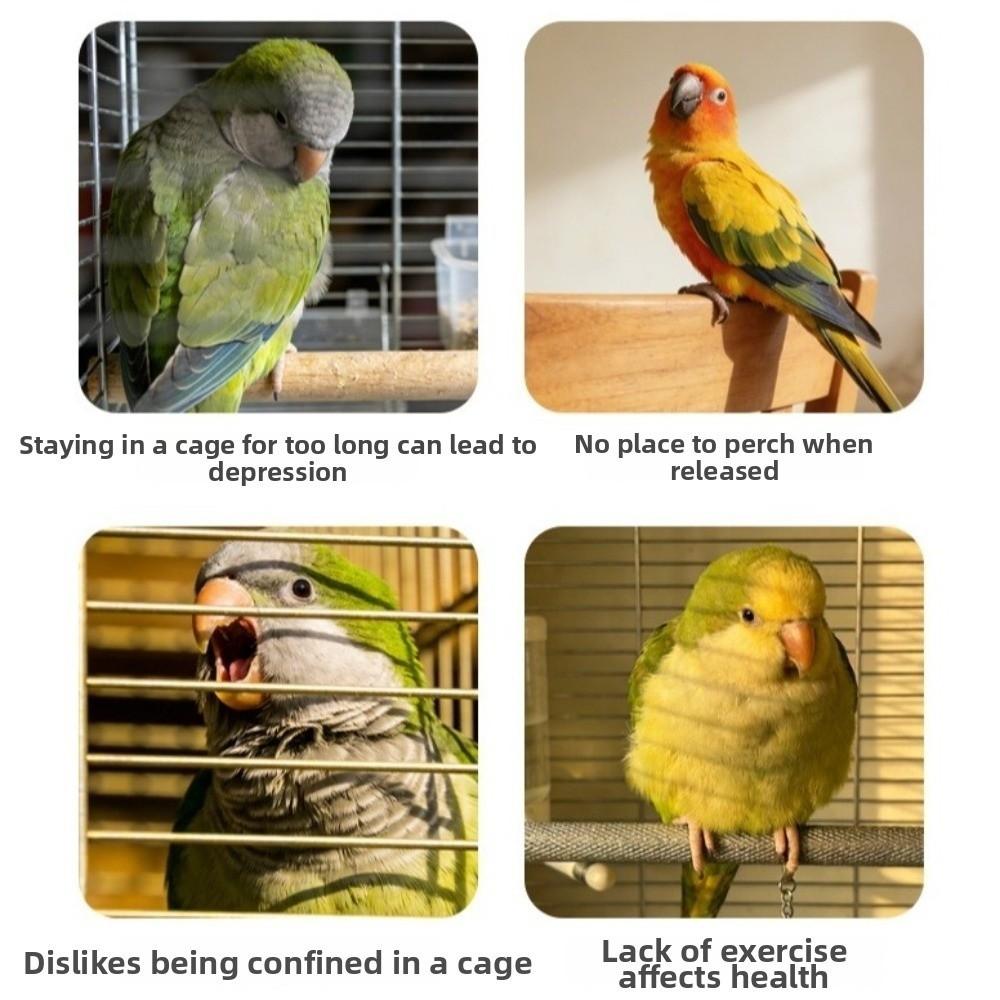 Adjustable Parrot Rotating Windmill Perch Toy Parrot Standing Platform Indoor Play
