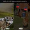 Ultrasonic Mouse, Bird, and Animal Repeller with LED Flashing Lights
