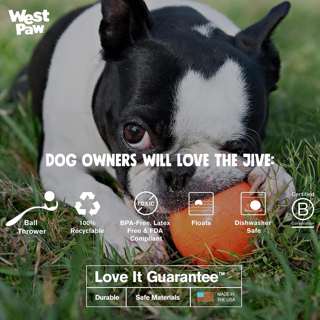 West Paw Hundespielzeugball Zogoflex Jive Aqua Blue Größe S