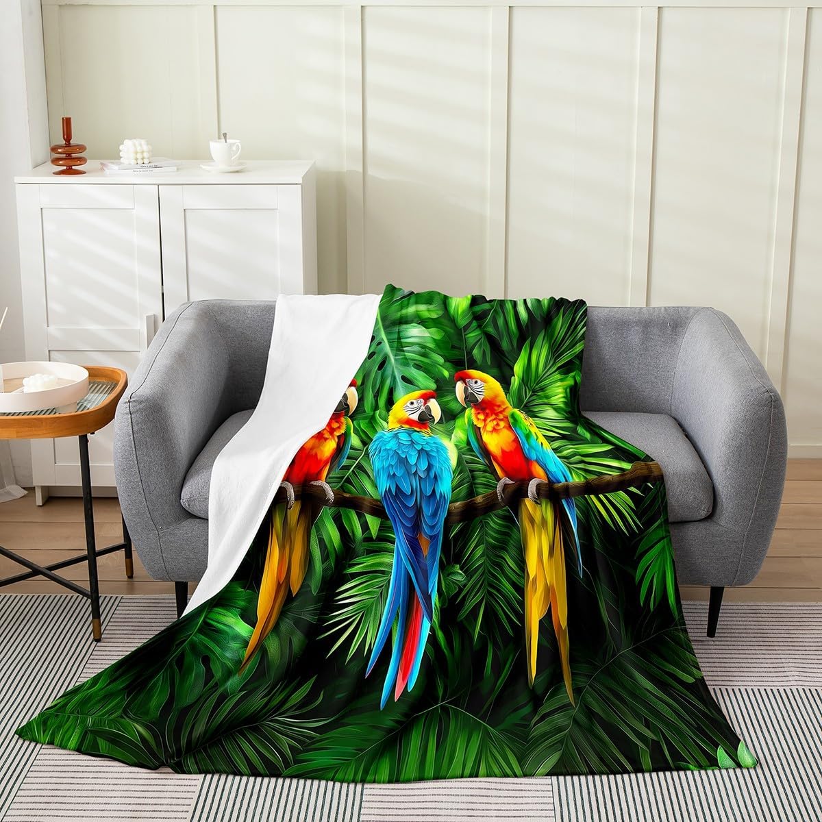 

Music Notes Throw Blanket Black White Fleece Soft Lightweight Twin x Geometric Lines Art Music Lover Flannel Blanket for Living 100x150cm