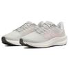 Nike Air Zoom Pegasus 39 Ferro Chiaro Atmosfera Minerale Donna DH4072-003