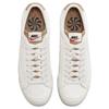 Nike Blazer Low '77 Prm Next Nature Cork Sneakers Skateboard Shoes DV7231-001