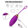 Vibrator Egg Vagina Massager Clitoris Stimulator Wireless Control G Spot Vibration Adult Sex Toy For Women Masturbation