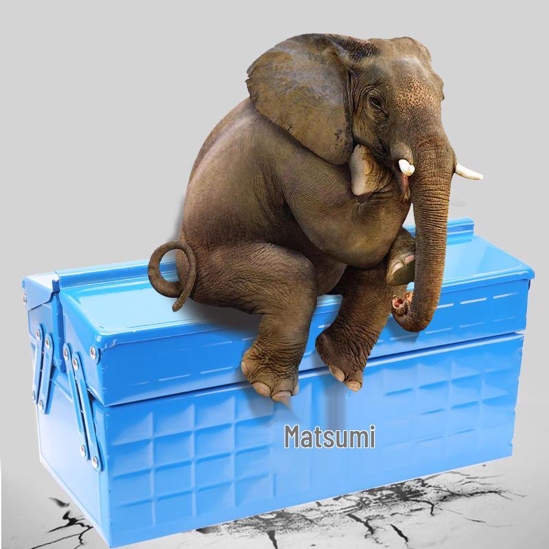 Flip-Lid Double-Layer Multi-Functional Tool Box for Electrical and Metal Repair