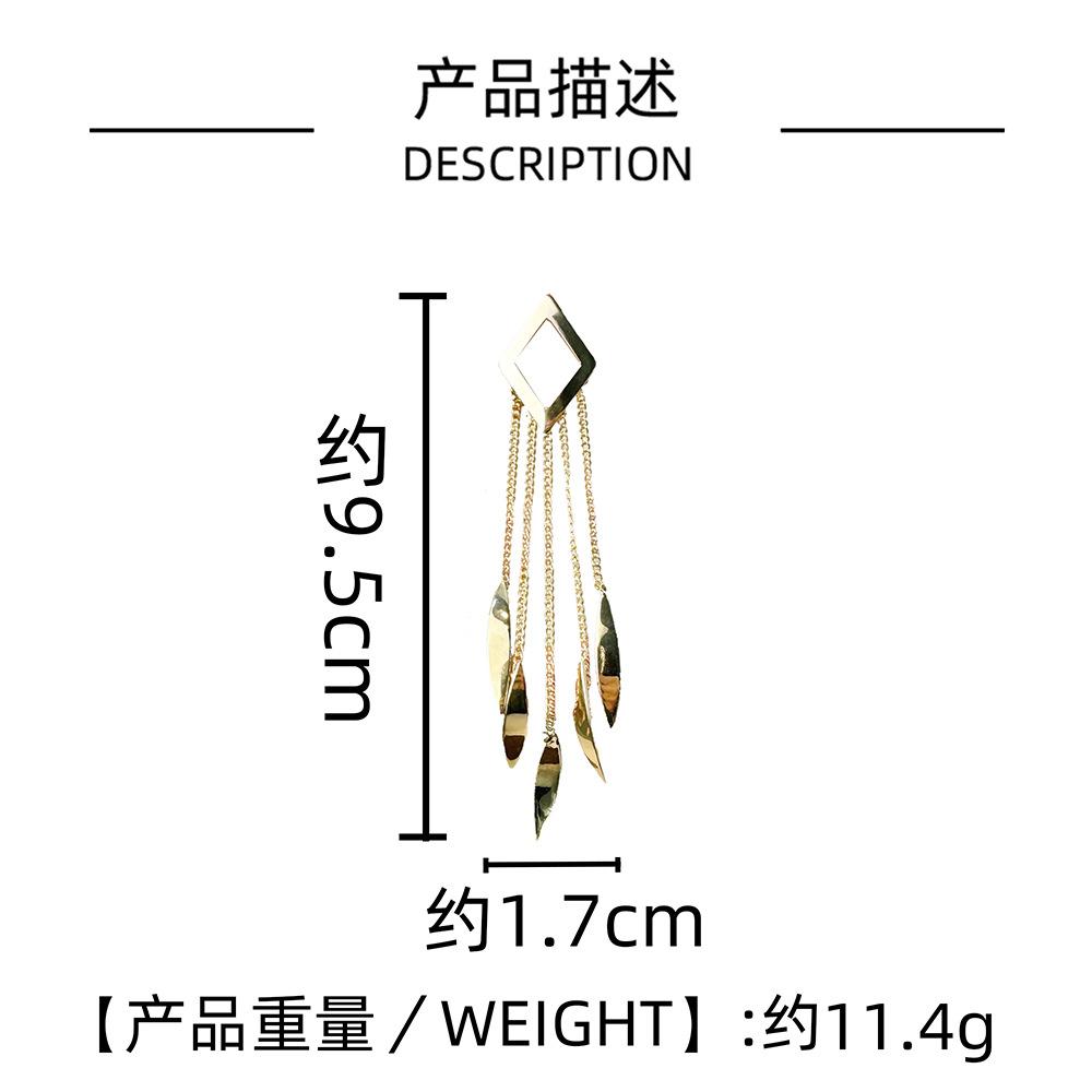 Geometric Shape Fringed Earrings Exaggerated Design Diamond Earrings Trendy Long Metal Wind Earrings Earrings
