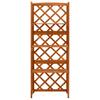 Trellis with Shelves 55 X 30 X 140 Cm Solid Pine Wood Brown
