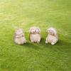 3pcs Cartoon Hedgehog Statue Resin Miniatures Figurine Crafts Animal Sculpture  Gift