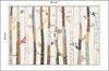 Photomural Forest Non-Woven 90x60