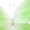Artificial Butterfly Decoration for Baby Shower Decor Party Supplies Holiday
