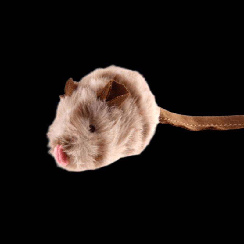 Cat Teaser Toy