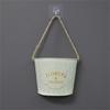 Hanging Small Iron Bucket Decorative Plant Pots Plant Hanging Pots Wall Hanging