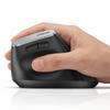 Periféricos para computadores – Ratos
