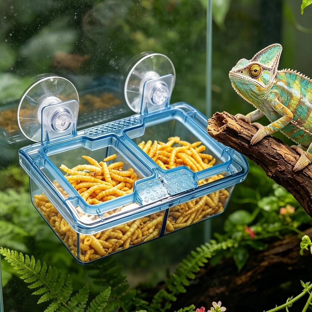 Transparent Suction Cup Reptiles Feeders Plastic Anti-Escape Food Bowl Reptile Drinker Bowl Snakes