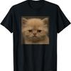 Funny Disapproving Kitten Cat Face Meme Humor T-Shirt
