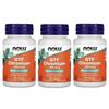 Foods Chromium Now GTF 200mcg 250 Tablets 100 Tablets 3 pcs
