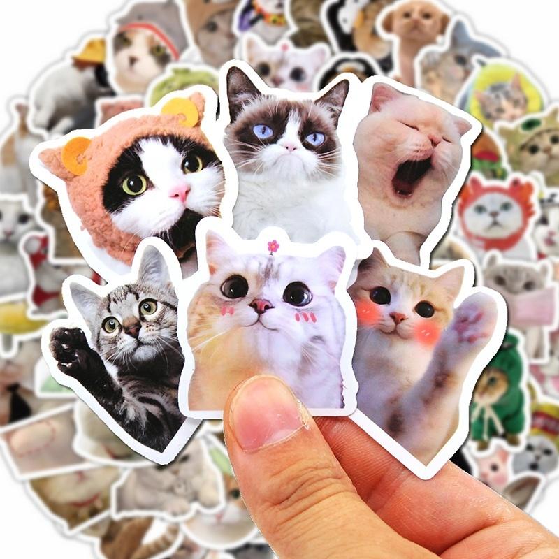 10/50/100pcs Funny Cat Stickers Cartoon Cute Decals Toy Stationery Guitar Phone Bicycle Book Laptop Luggage Graffiti Kid Sticker