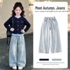 Moonkids Girls' Fall Sweater and Denim Jeans Outfit