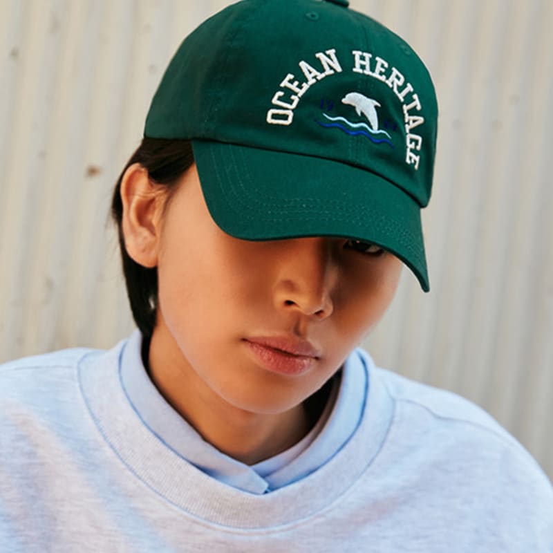 DOLPHIN WAVE APPAREL Ocean Heritage Dolphin Ball Cap_123825DN