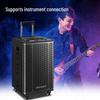 SANSUI E12 Portable Trolley Speaker with Wireless Microphone CN Plug (adapter Included)