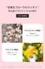 The Public Organic Body Soap Bottle Amino and Essential Made in Japan [Super Positive] 480mL, Acid, Aroma, Oils,
