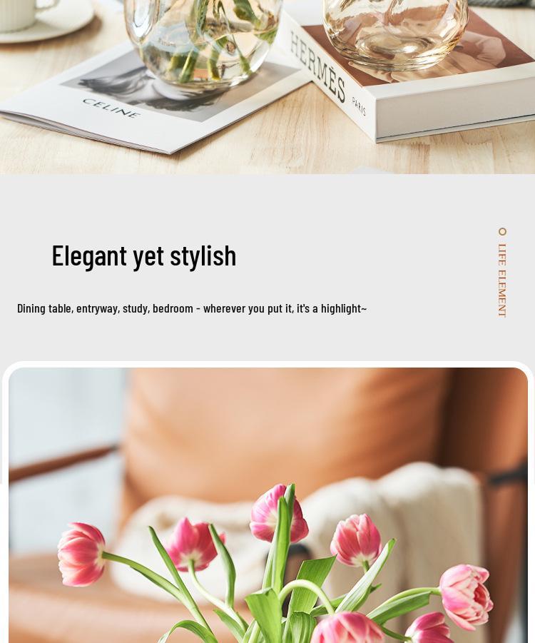 Nordic Style Irregular Glass Vase for Desktop Hydroponics