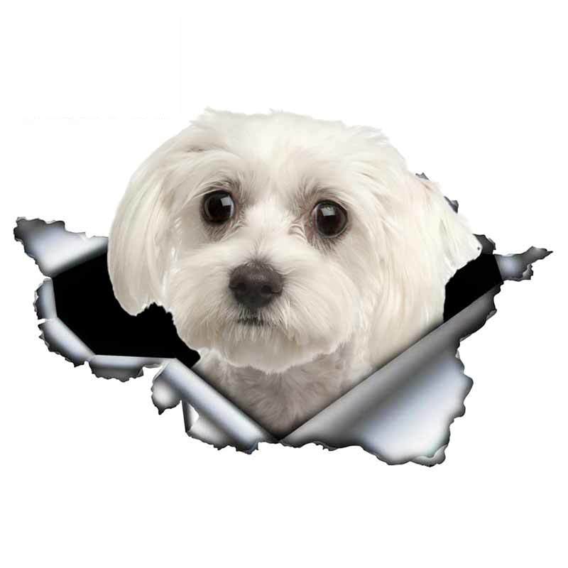 13cm X 6cm 1 Pcs Cute Maltese Car Sticker Pet Dog Car Decoration Torn Metal Decal Reflective Sticker Waterproof Car Styling