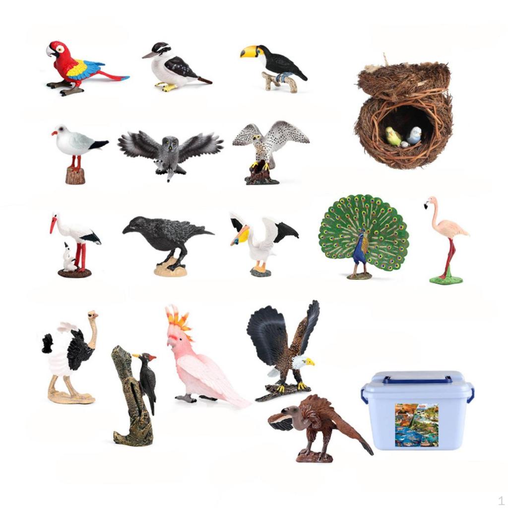 21 Pieces Bird Figurines with Storage Box HandPainted Models Realistic Toy Birds for
