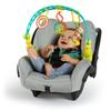 Bright Starts Oball Activity Arch (0 Months and Up) - Baby Carrier Toy (81536)