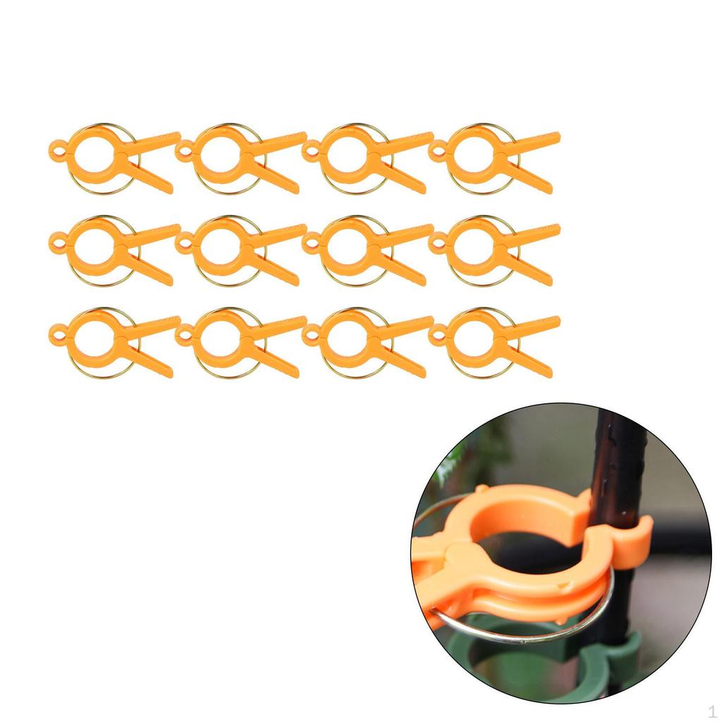 Flower and Vine Clips for Climbing Plants