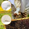 1 Pair Anti-sting Anti-bee Gloves Professional Beehive Tools Beekeeping Gloves  Beekeeping Tools