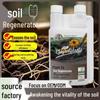 Plant-Activating Soil Regenerator Fertilizer with Potassium Humate for Flowers and Vegetables - Agricultural Use