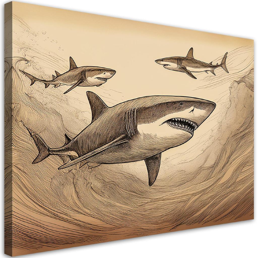 Canvas print, Sharks Animals Vintage