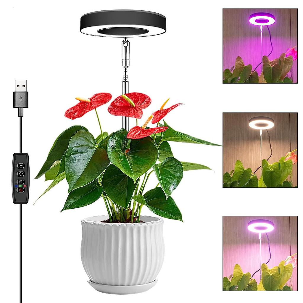 Full Spectrum LED Grow Lights for Indoor Plants Height Adjustable Dimmable Growing Lamp Flower Halo Ring Phyto Lamp Growth Light