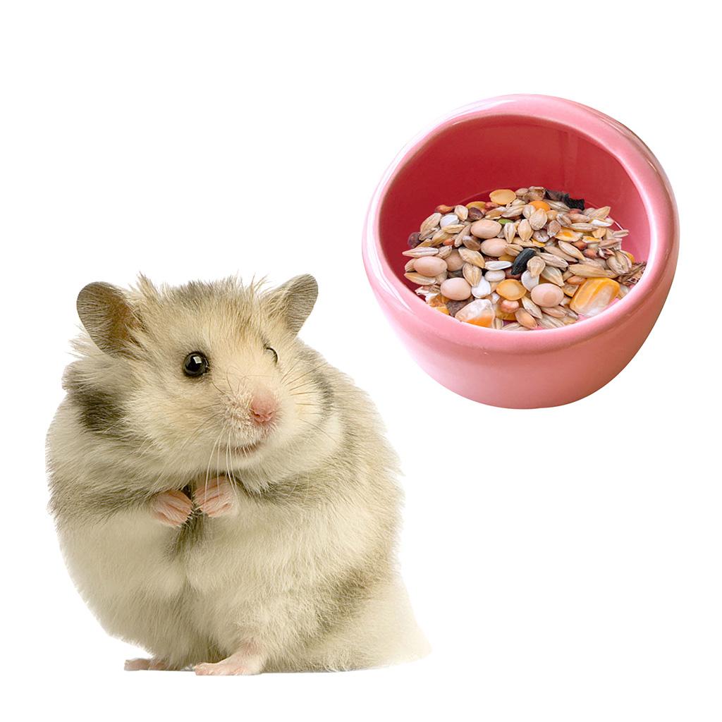 Hamster Ceramics Bowl Lovely Small Animal Ceramics Dish Pet Food Bowls