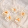 10/20Pieces 6.5CM Cheap Artificial Flowers for Home Wedding Room Decor Accessories Scrapbooking Flowers Wall Diy Rose Heads