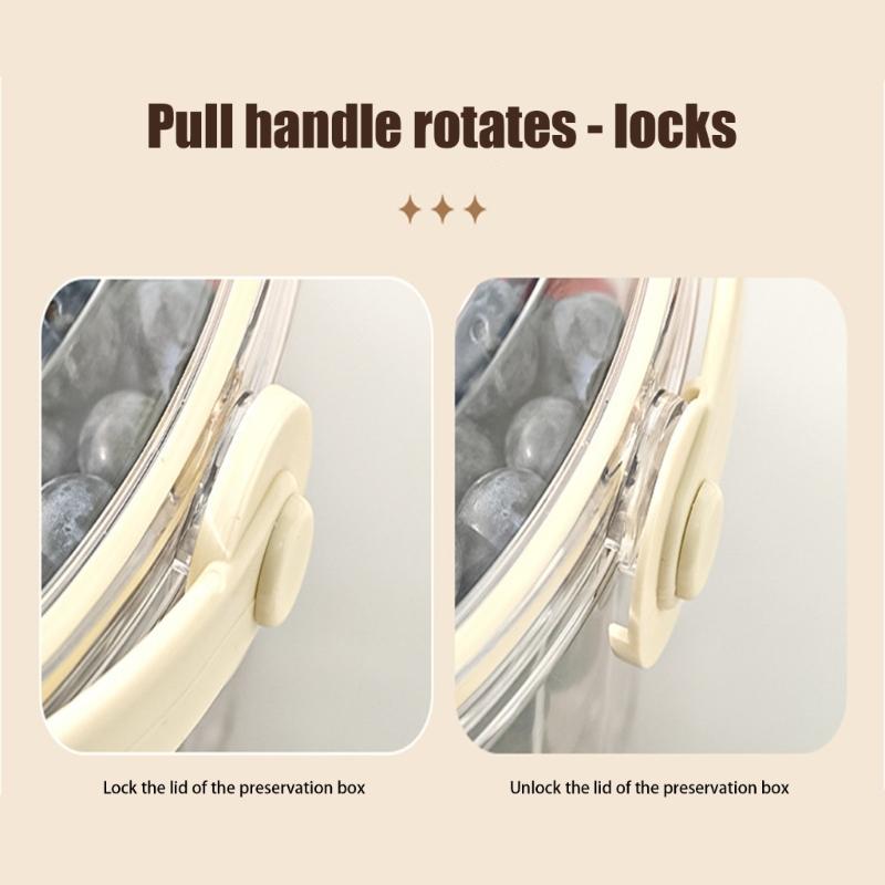 

Plastic Freshing Keeping Tray 5 Section Designs With Ergonomic Handle Leakproof Fruit Storage Solution HX6C China Mainland