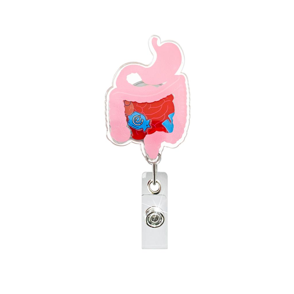 Nurse Id Holder Compact Retractable Badge Clip Id Card Holder Stylish Acrylic Badge Holder For Exhibitions Schools Office