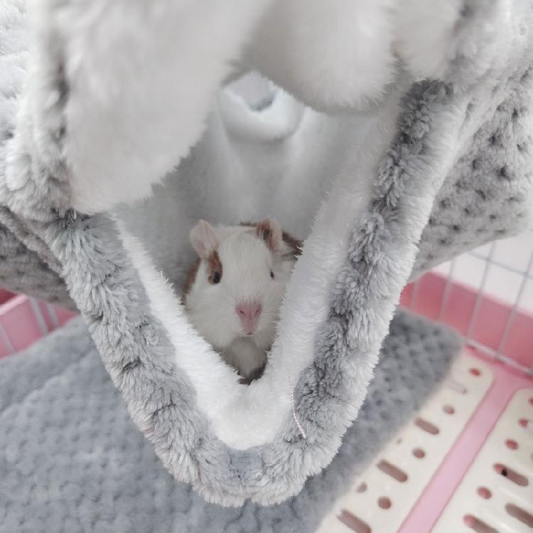 Hamster Hammock Cave Shed Small Pet Warm Hut Cage Tunnel for Guinea Pigs