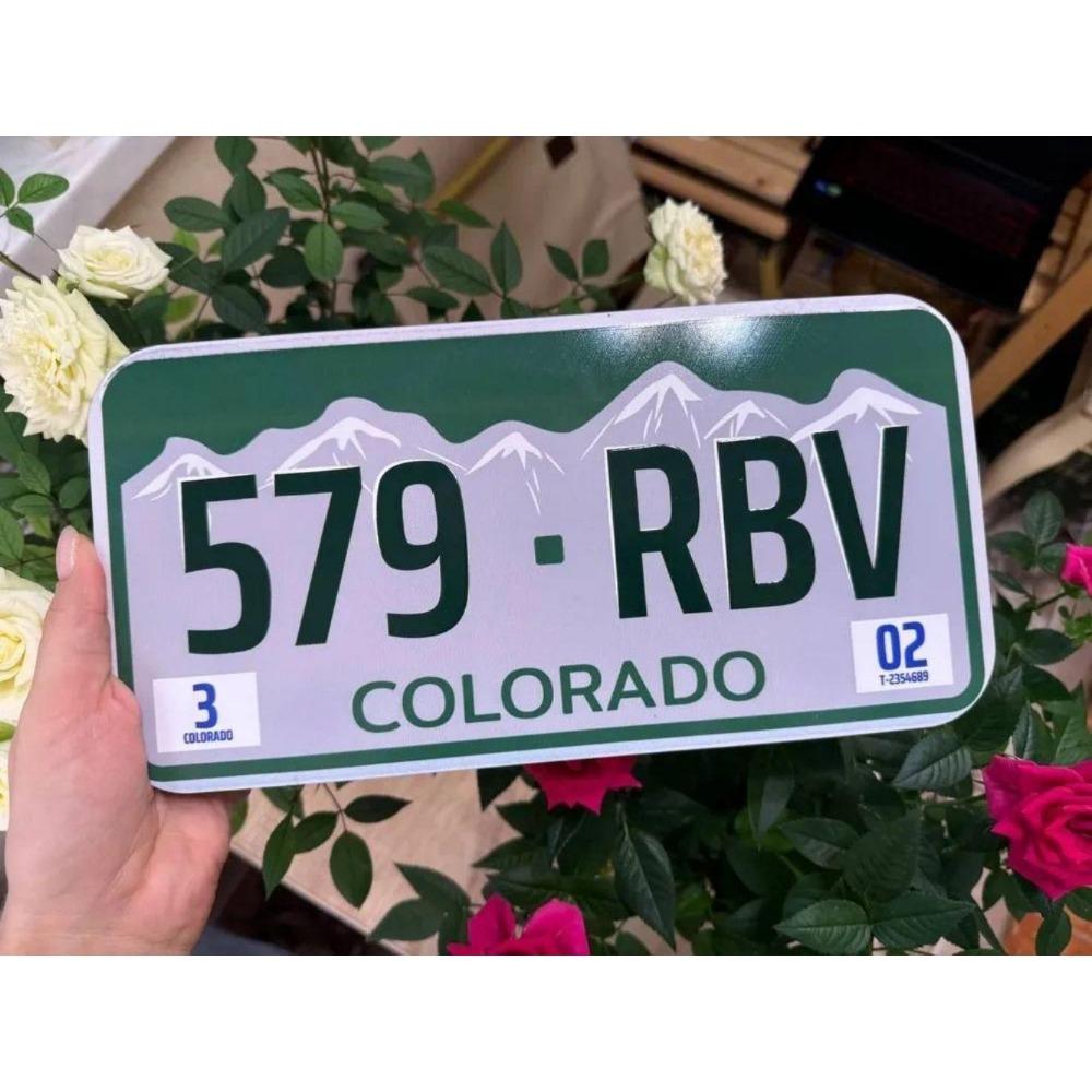 NÁS. registrační značka, USA. SPZ, kovová, 15x30 cm.