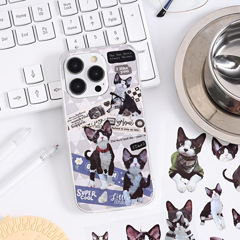 6 pcs Cute PET cat theme PET sticker bag handbag decoration stickers diy handbook material paper Scrapbooking Material