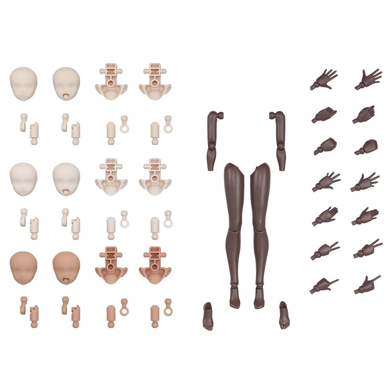 

30MS Optional body parts Arm parts & Leg parts [Brown] Color-coded plastic model