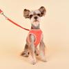 Magic Harness (JARD-HC5980)