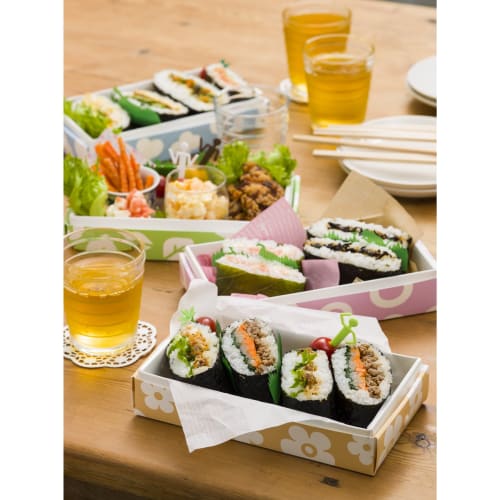 Hosho Foldable Flat Lunch Box, Medium, Hana, Reusable, LB-085-MHA