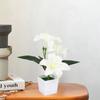 Artificial Lily Potted Bonsai Fake Lily with Leaf Potted Plant Wedding Flower Arrangement Props Home Decoration Party Decor