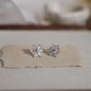 Edelweiss S925 Sterling Silver Gold-Plated Zircon Sparkling Earrings for Women – Luxurious High-End Stud Jewelry