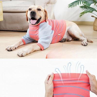Cani – Prodotti per la cura dei cani