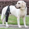 Joelheira para Cão Perna Traseira com Tira de Fixação Resistente ao Desgaste Ultraleve Ajustável Joelheira ACL Perna Traseira para Cão Suprimentos para Animais de Estimação