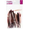 Indian Feathers - Camaïeu - Chocolate - 10 Grams - Approximately 40 Feathers - Length 15 Cm