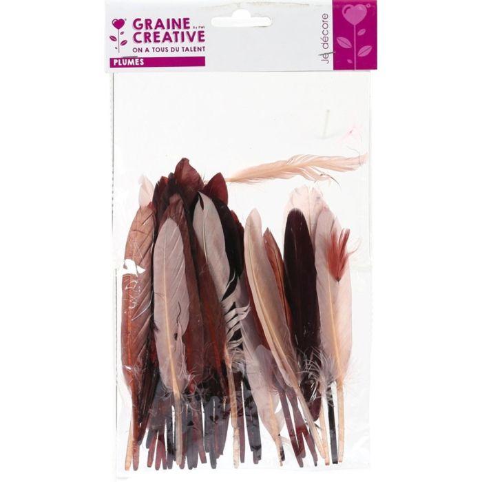 Indian Feathers - Camaïeu - Chocolate - 10 Grams - Approximately 40 Feathers - Length 15 Cm